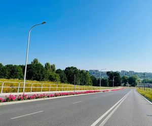 Starachowice. To najbardziej ukwiecone miasto świętokrzyskiego