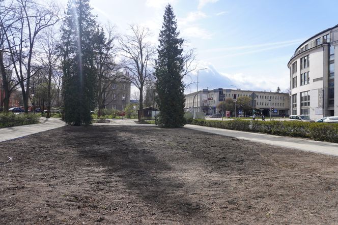Rewaloryzacja Parku Planty - wiosna 2025