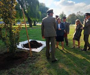 Trzy młode buki purpurowe na Skwerze Leśników Polskich wspólnie zasadzili pracownicy Nadleśnictwa Siedlce i Lasów Państwowych, władze miasta Siedlce i radni.