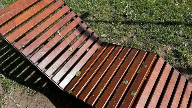 Park Lawendowy na osiedlu TBS w Białymstoku