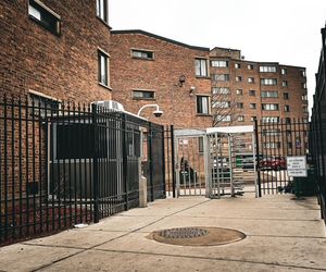 Rozmowa z Katarzyną Kogut z Chicago 