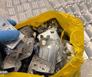 Z Polski do Ukrainy w psiej puszce! Mafijny szlak metamfetaminy przerwany