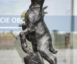Odrzańskie Ogrody