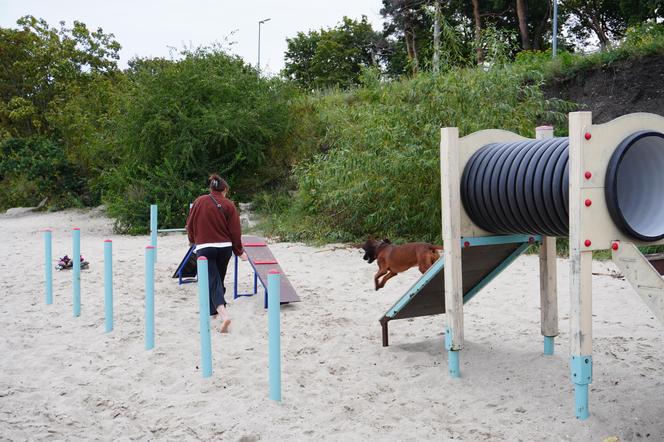 Jedyne takie miejsce na plażowej mapie Gdańska. Właściciele psów powinni o nim wiedzieć!