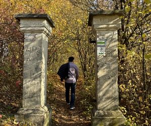 Tak wygląda Janowiec nad WIsłą w jesiennej odsłonie