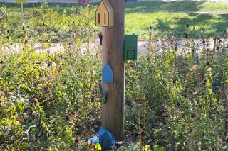 fot. Miłosz Piotrowski