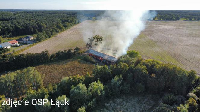 Pożar w Stadzie Ogierów w Łącku pod Płockiem