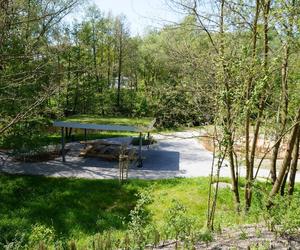 Tak wygląda park w dolinie Ślepiotki w Katowicach