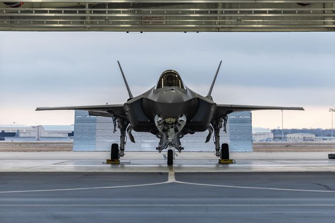  Polski F-35 Husarz