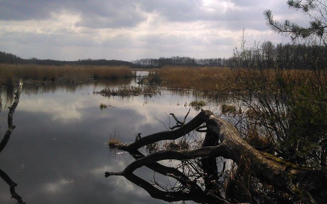 To najszybciej wyludniające się miasto w Łódzkiem.