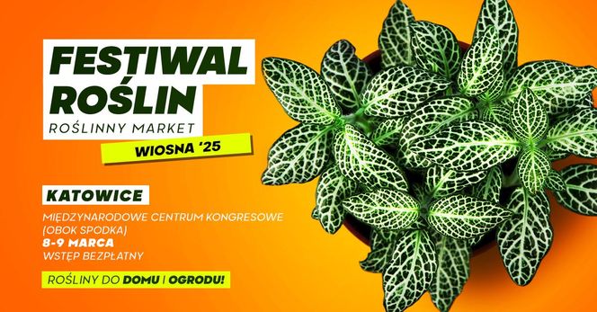 Festiwal Roślin w MCK Katowice