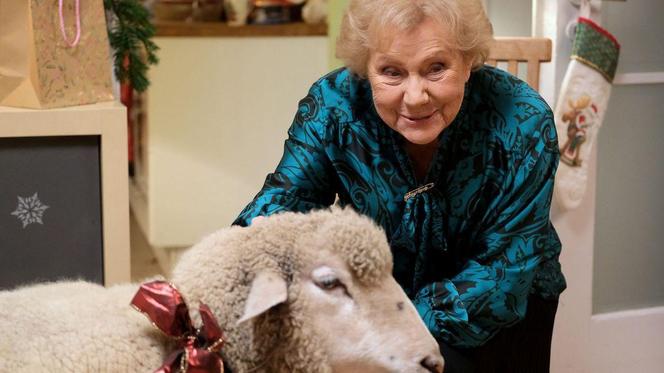 Święta w M jak miłość odcinek specjalny. Barbara (Teresa Lipowska)