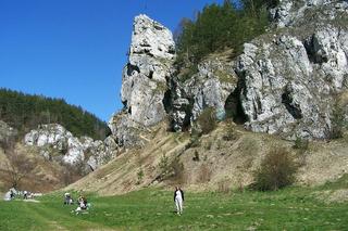 Dolina Kobylańska (Dolinki Podkrakowskie)