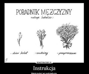 Dzień Kobiet 2025 oczami internautów