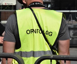 Eksmitują gołębie z Grubej Kaśki na czas remontu