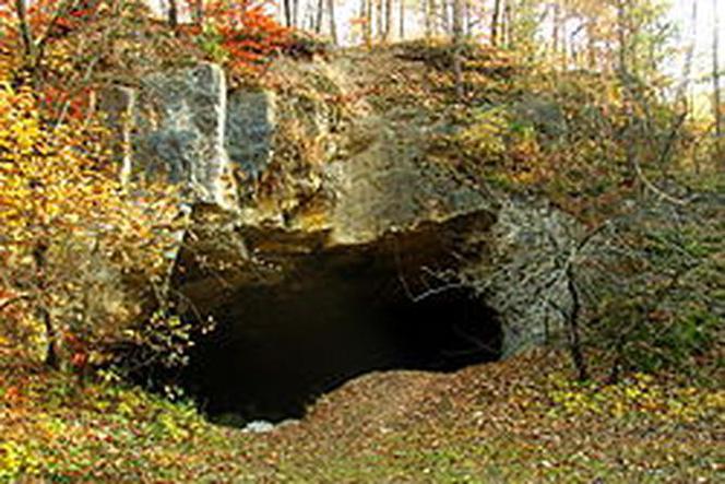 Jaskinia Szachownica