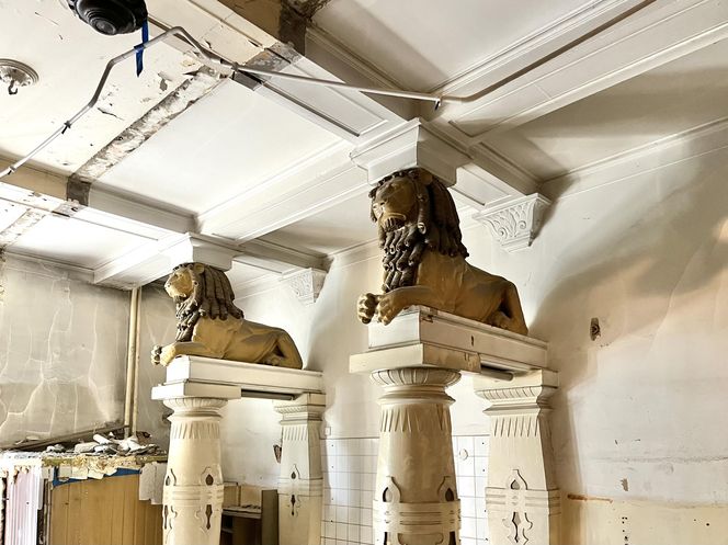 Kamienica przy Matejki 55 w Poznaniu