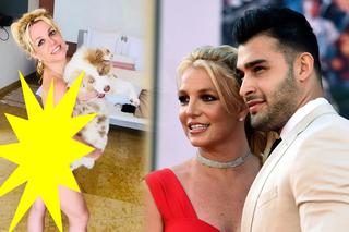 Britney Spears całkiem NAGO! Zasłonił ją tylko pies