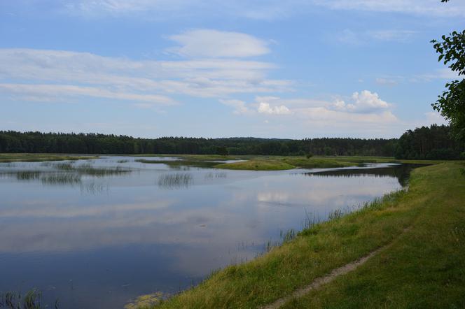 Zwierzyniec:  Na wakacje i  weekendowy wypad za miasto - Roztoczański Park Narodowy