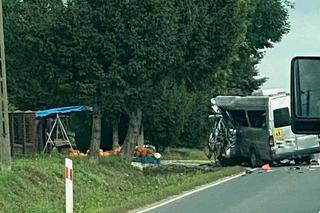 Dwaj kierowcy zginęli po zderzeniu busa z ciężarówką