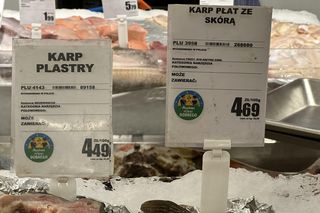 Ceny karpia 2024. Kraków