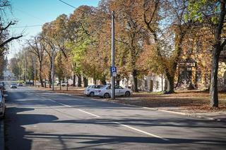 Częstochowa: abonamenty obowiązujące w SPP można kupić przez internet