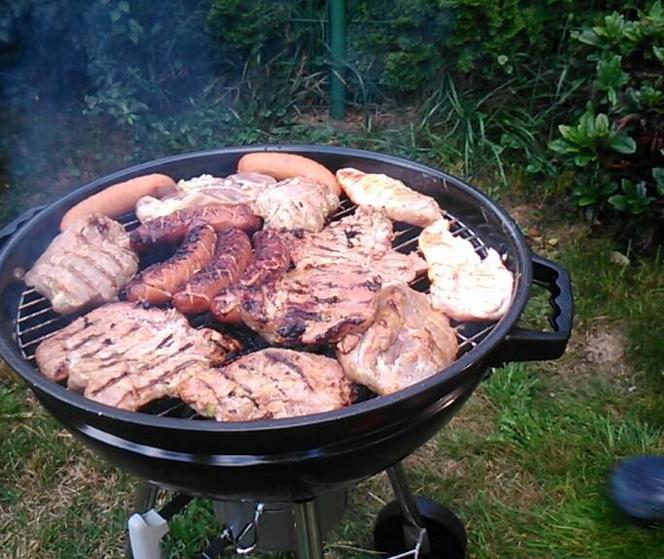 Grillowanie w łódzkich parkach