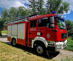 Druhowie z Iwonicza uratowali sarenkę. 