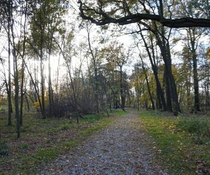 Pałac w Baranowicach jesienią