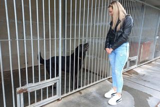 „Wszystkie psiaki nasze są” w schronisku w Henrykowie koło Leszna