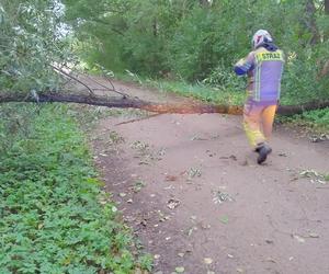 Wichury w Podlaskiem. Setki interwencji strażaków w całym regionie