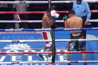 Brutalny nokaut w walce Gervonta Davis - Leo Santa Cruz