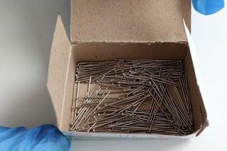 Truciciel ze Szczecina