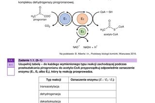 Matura 2023: biologia. Arkusze CKE i odpowiedzi [Formuła 2023]