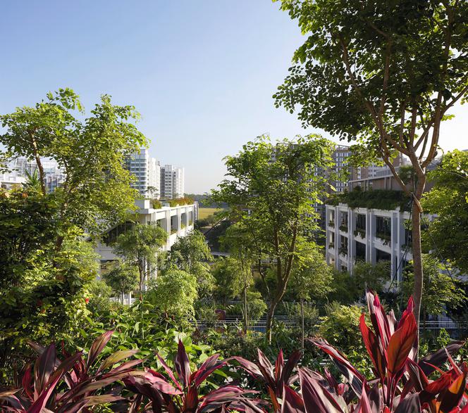 Oasis Terraces w Singapurze_Serie Architects_18