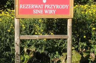 Rezerwat przyrody Sine Wiry 