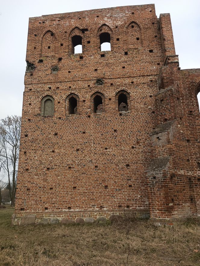 Ruiny kościoła w Steblewie