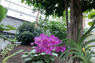 Egzotarium w Sosnowcu gotowe. Tak wygląda przed otwarciem