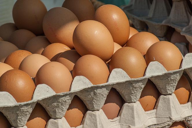 Skażone jaja trafiły do województwa kujawsko-pomorskiego. 6 kg w powiecie bydgoskim [WIDEO NOWA TV 24 GODZINY]