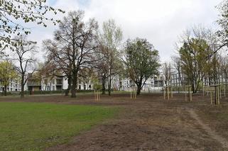 Budowa parku Heweliusza