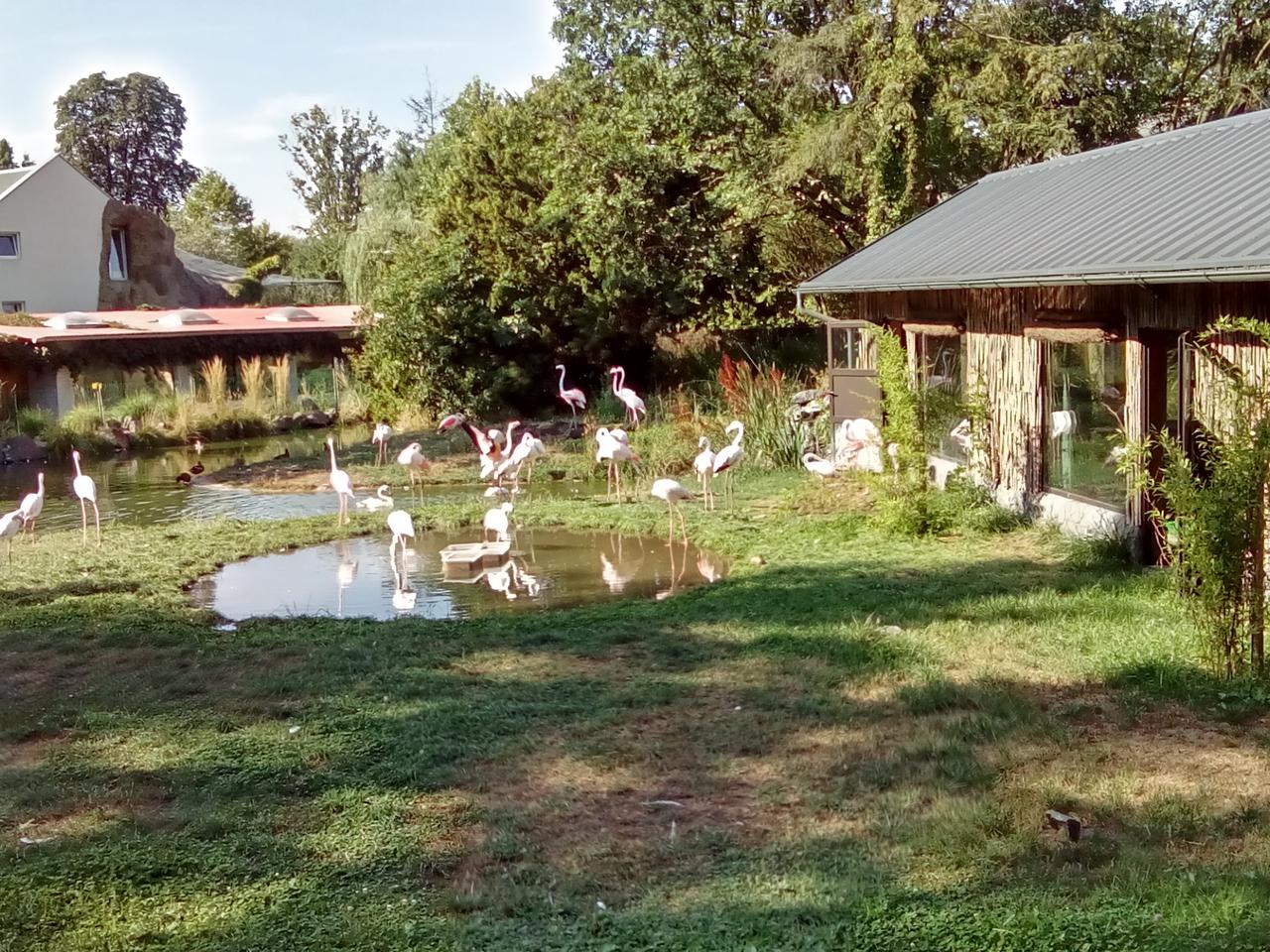 Nuda w opolskim zoo. Zwierzaki czekają na zwiedzających