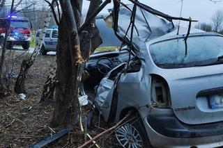 Tragiczny wypadek w Zrąbie w pow. zamojskim. Auto roztrzaskało się na drzewie