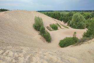 Stare Juchy jak Abu Zabi? Piaskowa góra na Mazurach przypomina egzotyczną pustynię [ZDJĘCIA]
