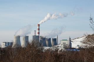 Raport Greenpeace. Kto zatruł Odrę? Naukowcy mówią o kopalniach ze Śląska