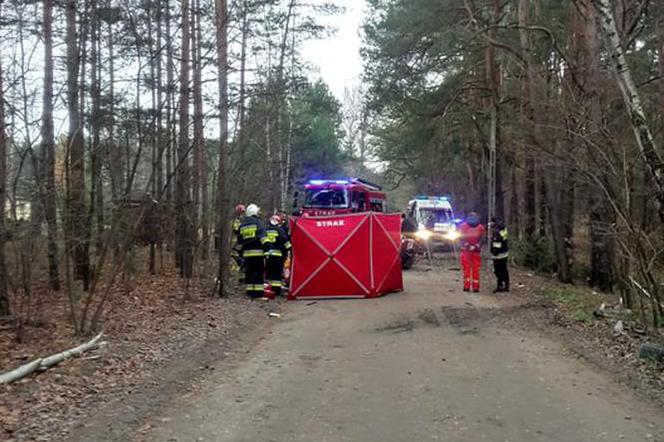 33-latek rozbił się na drzewie 