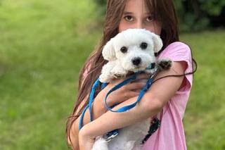 Upał męczy także psy. Wielu z nas popełnia ten błąd.