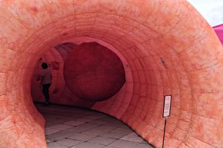 Jelito 3D stanęło przy szpitalu w Sosnowcu