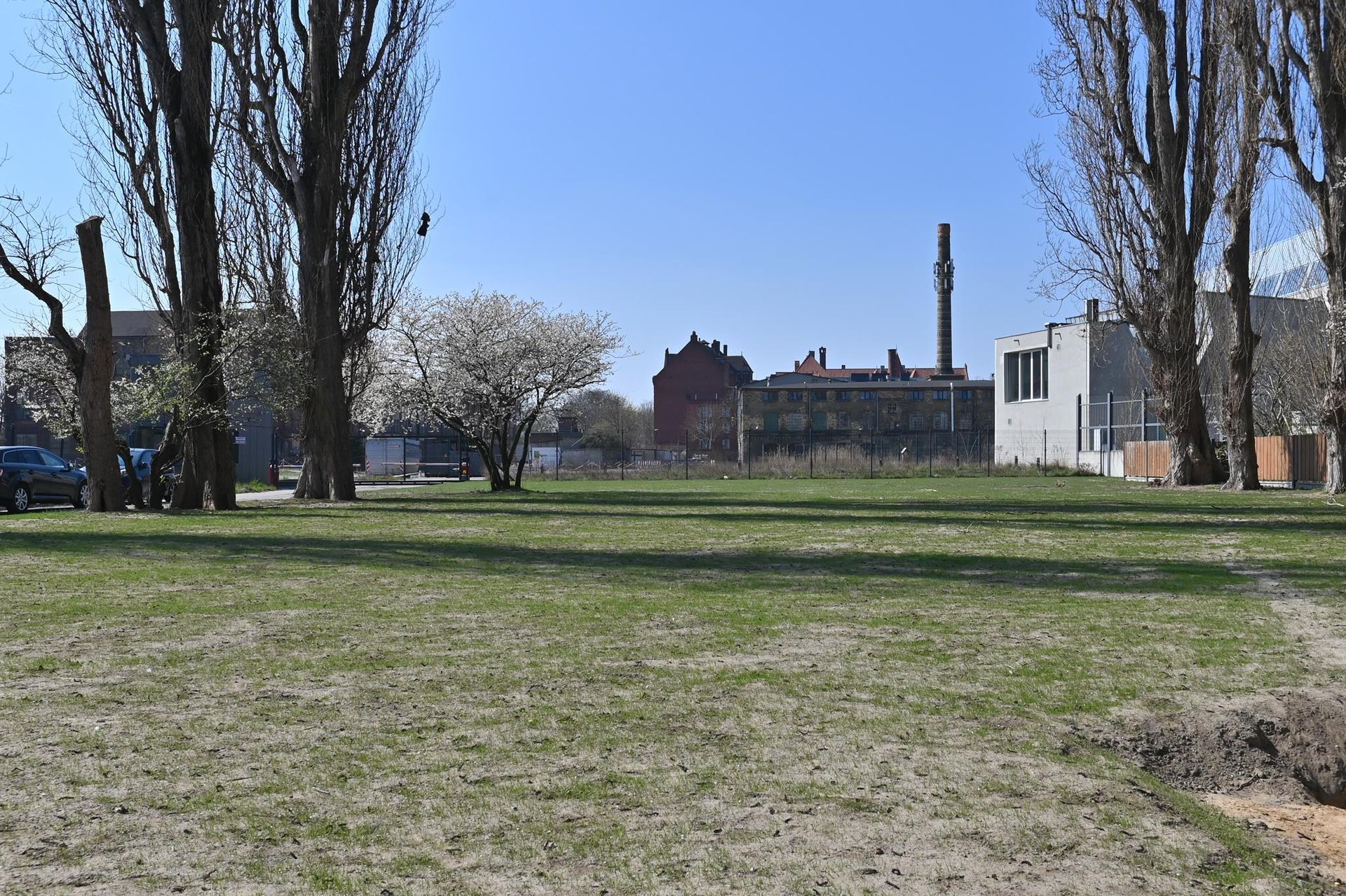 Rewitalizacja Dolnego Miasta i Starego Przedmieścia