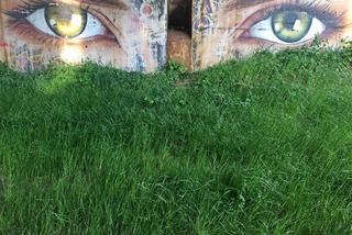 Oczy pod ul. Świętego Wincentego