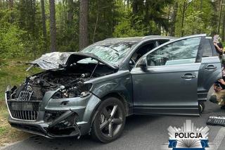 Kierowca audi potrącił łosia. Pechowe zderzenie zakończyło się śmiercią